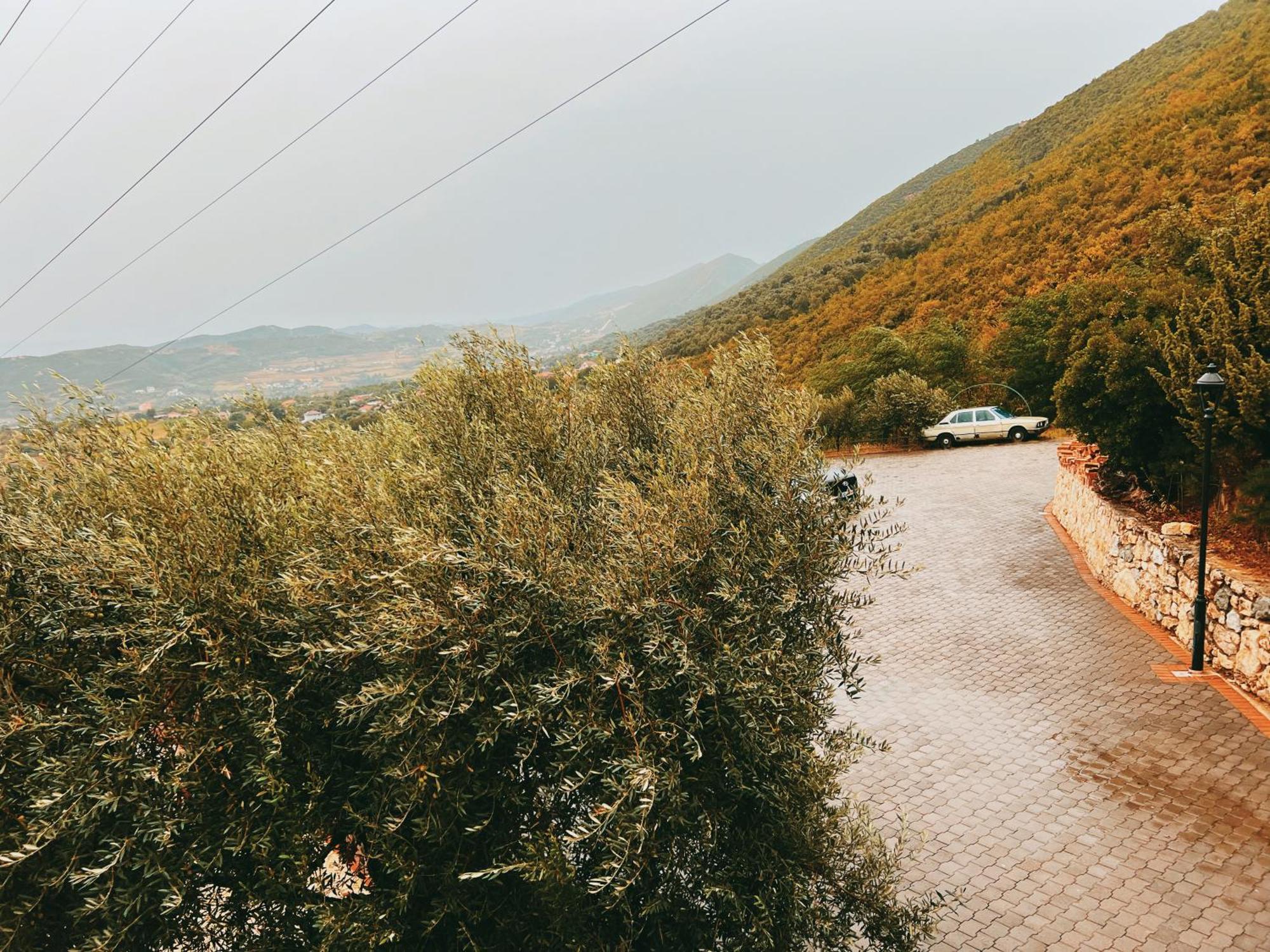 Chateau Fasel Tirana Exteriör bild